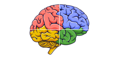 Google’s Knowledge Graph Explained: How It Influences SEO