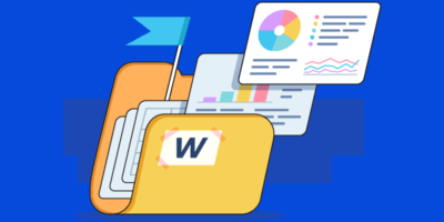 Wise.com SEO Case Study: 5 Reasons Why Their SEO Rocks